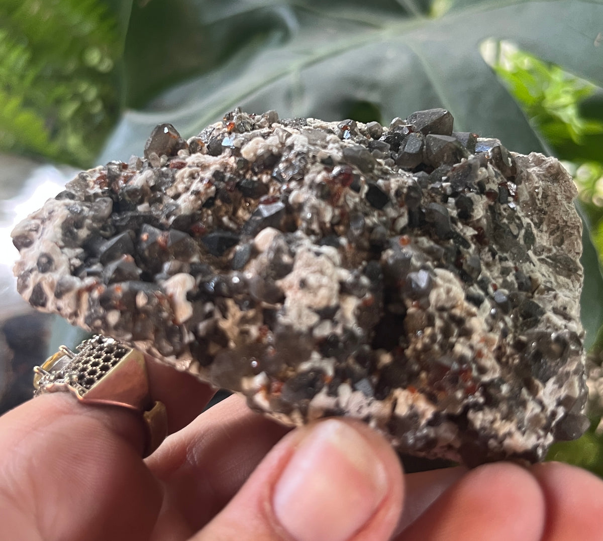 Rare Red Garnet with Smoky Quartz Cluster on Feldspar Matrix | Collector Mineral