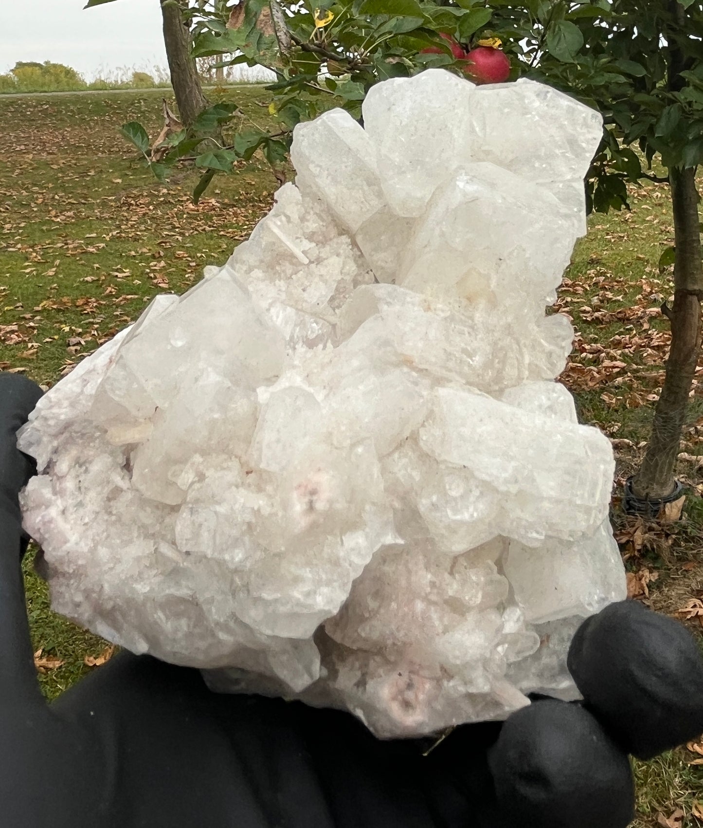 Natural Apophyllite Stilbite Crystal Cluster – High Vibration Druzy Specimen for Healing, Clarity & Spiritual Growth