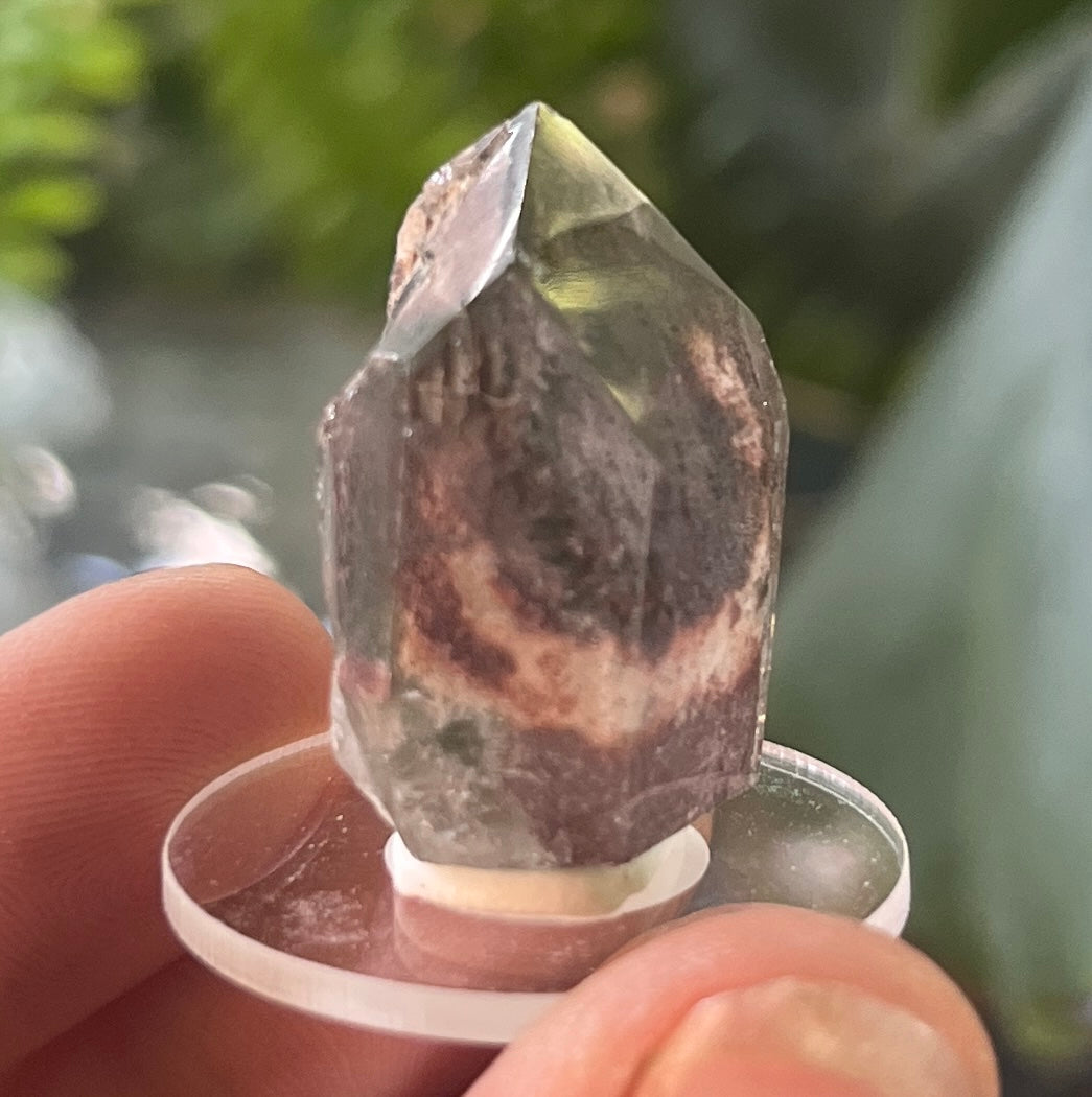 Clear Garden Quartz Speciem | Lodolite Quartz Point