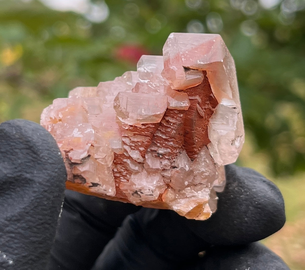 Red Phantom Calcite Cluster | Rare Natural Crystal | Healing Stone for Energy & Motivation
