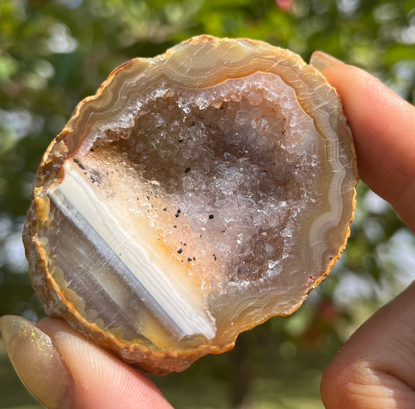Agate Geode (half)