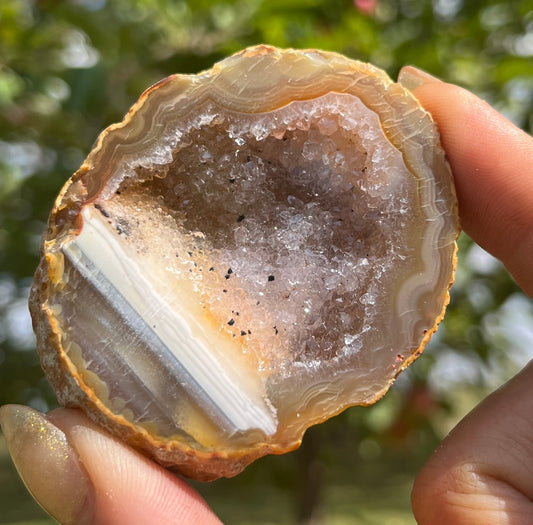 Agate Geode (half)