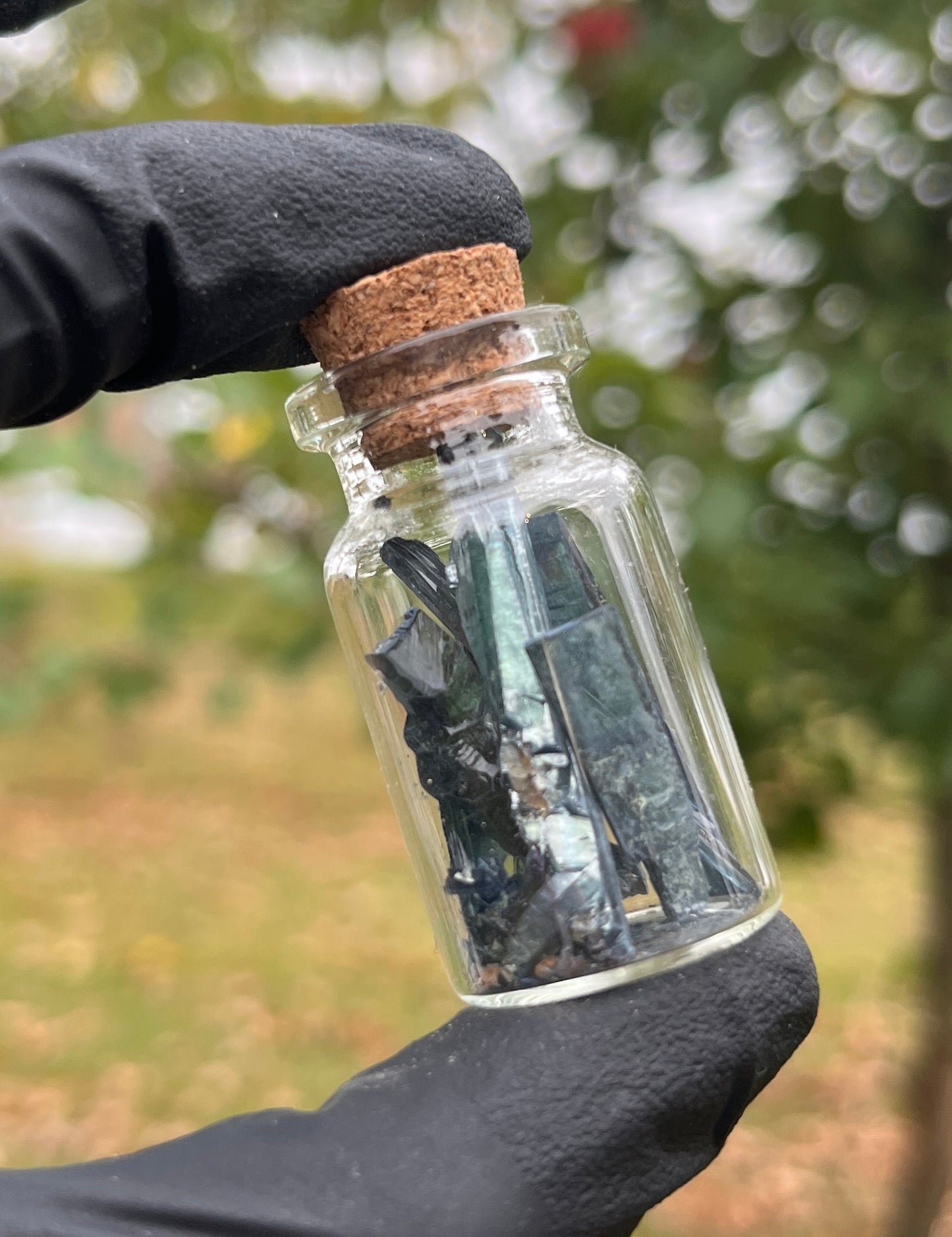 Vial of Raw Vivianite Blades. Raw, Rare, healing Crystals.