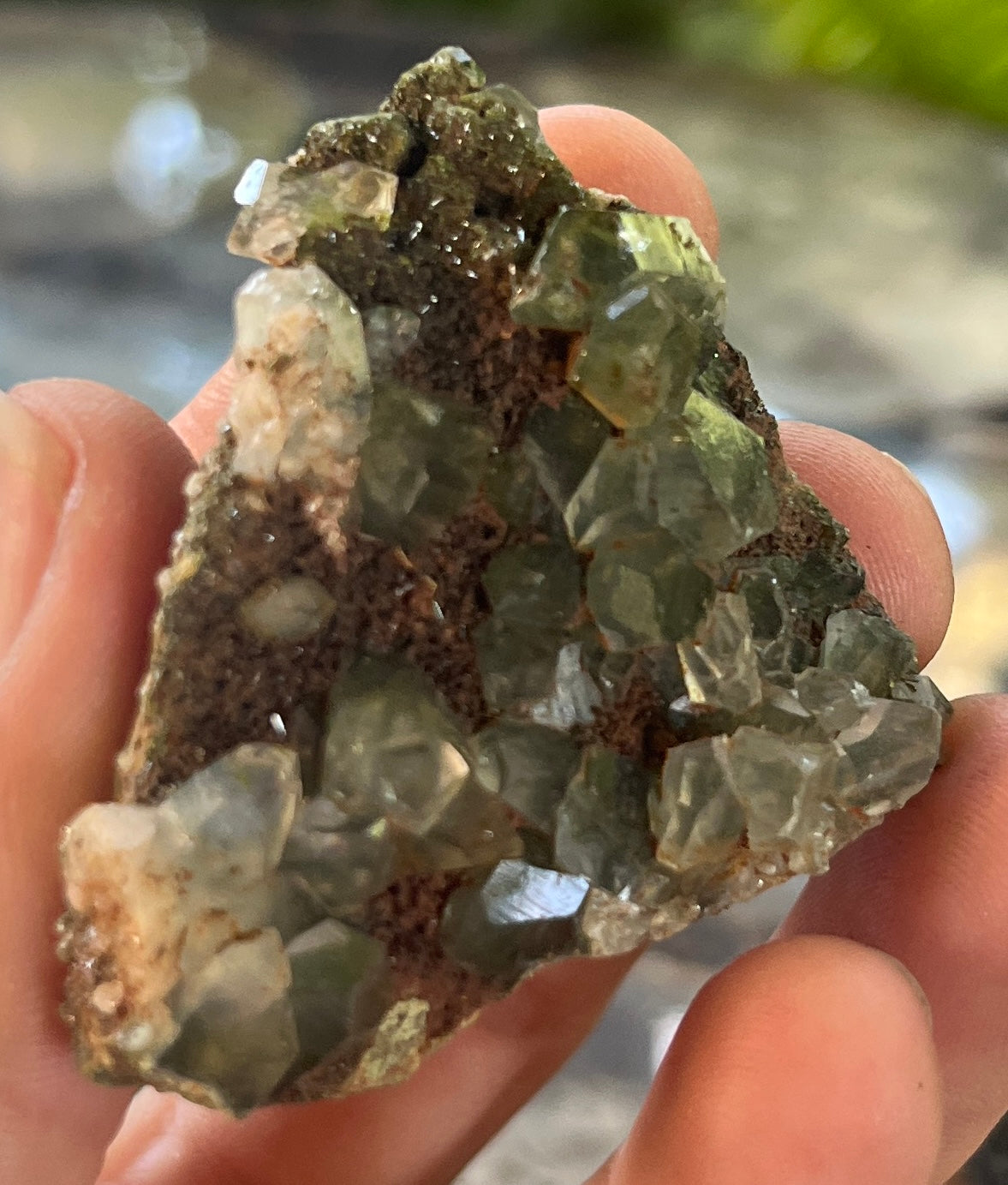 Forest Epidote with Quartz – Sparkling Green Growth Crystal