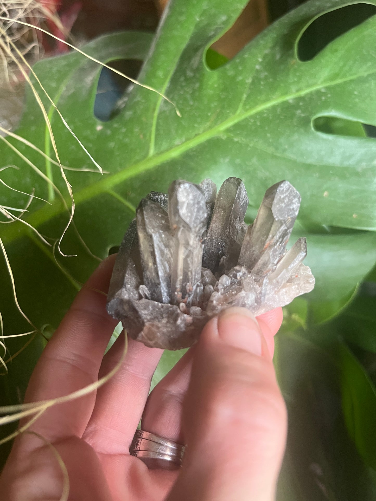Natural Smoky Quartz Cluster | Dark Crystal Point Specimen | Healing Crystal for Grounding & Protection | Rare Home Decor Gift