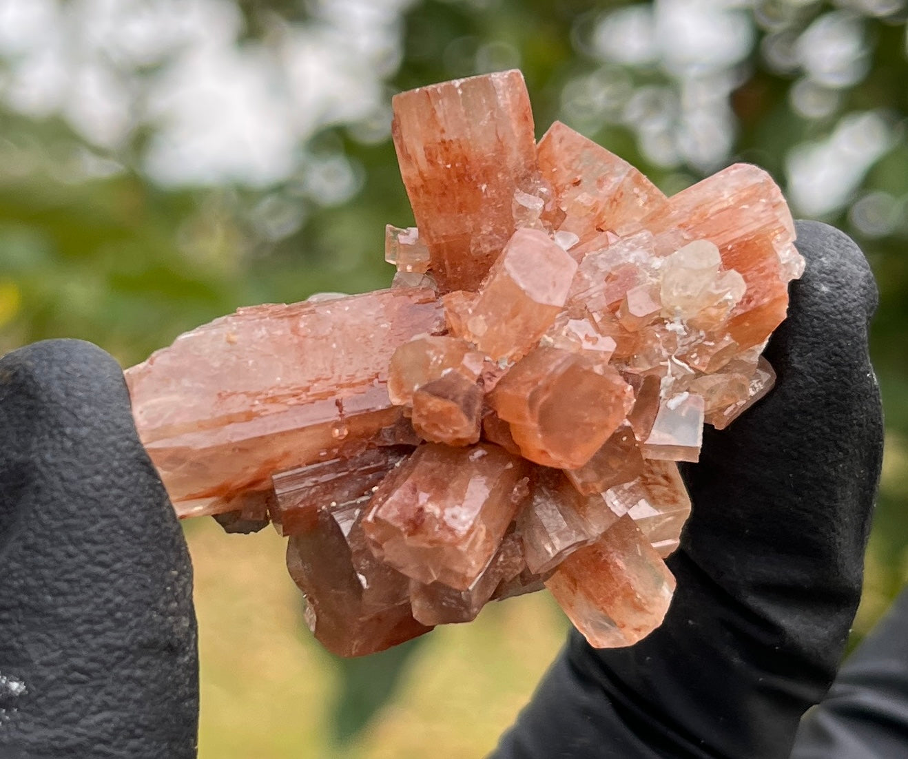 Red Aragonite Star Cluster | Natural Mineral Specimen | Deeply Grounding Crystal