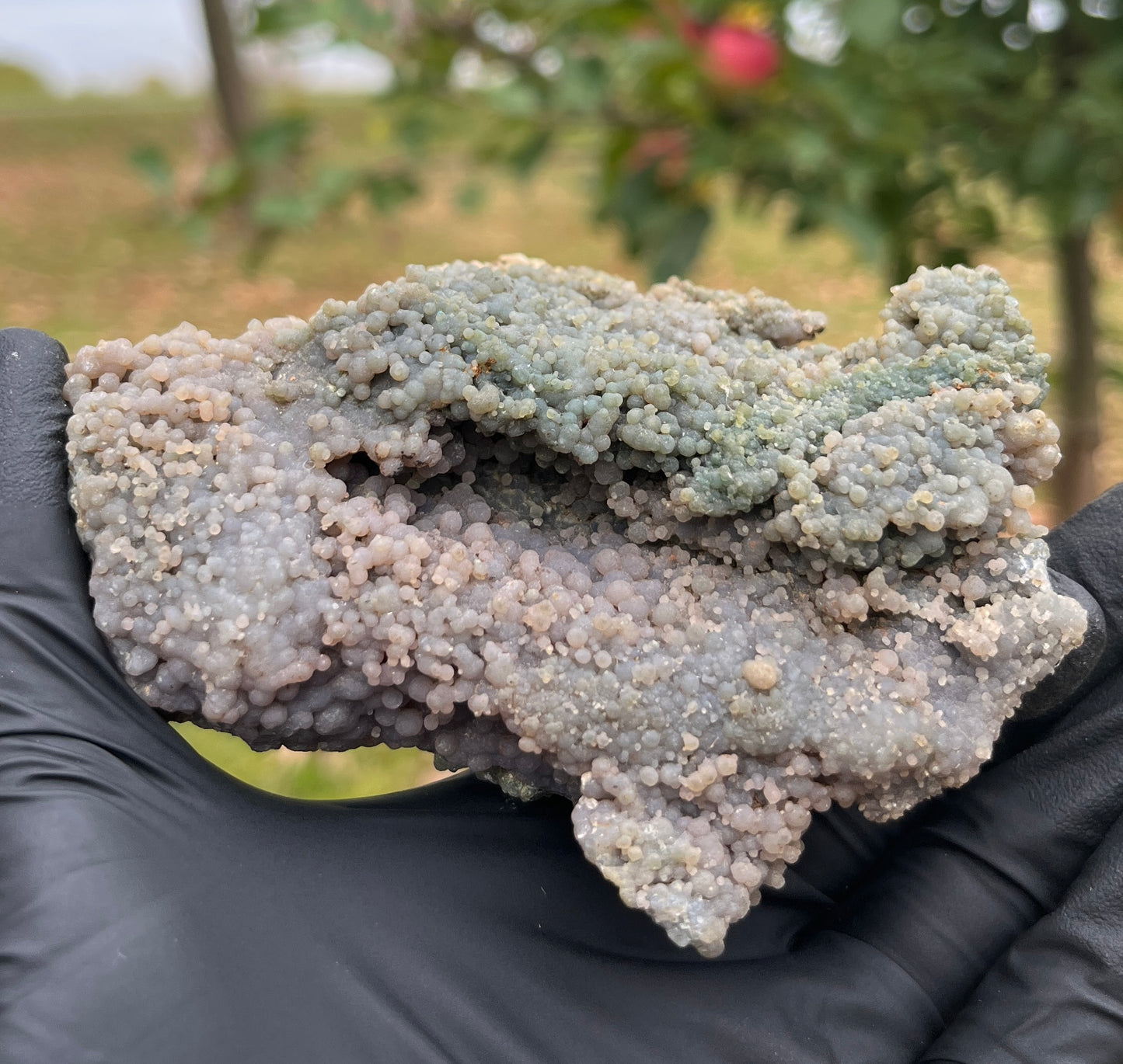 Grape Agate Geode | Botryoidal Chalcedony Crystal Cluster | Raw Mineral Specimen | Home Decor & Collector Piece