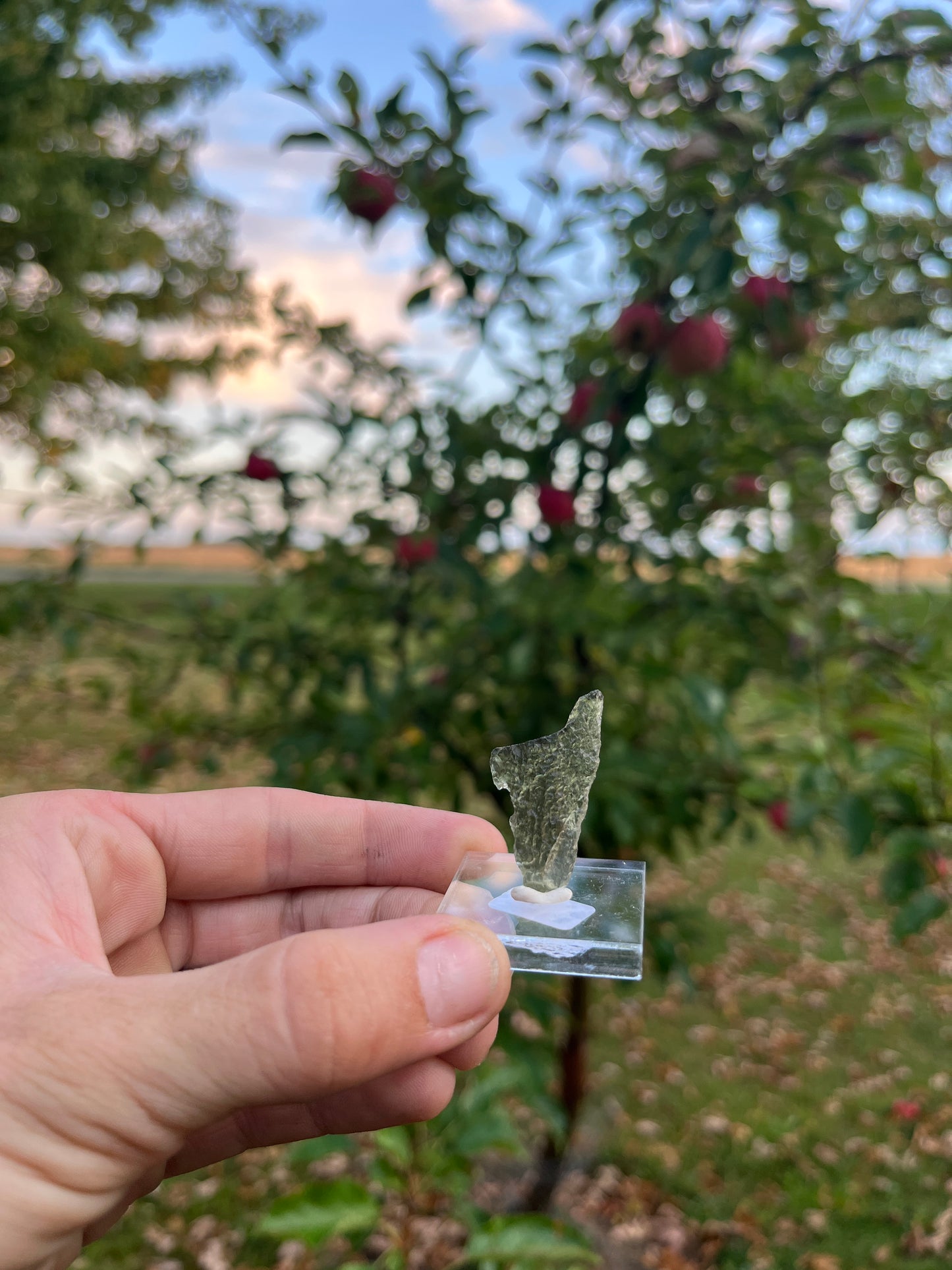 Authentic Raw Moldavite - Genuine Czech Tektite for Spiritual Awakening & Transformation | Rare High Vibration Crystal