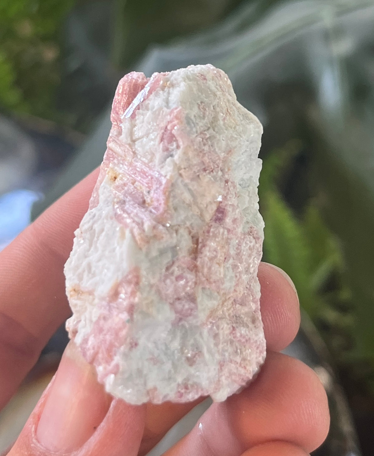 Pink Tourmaline in Matrix Specimen | Natural Rubellite Crystal for Heart Chakra