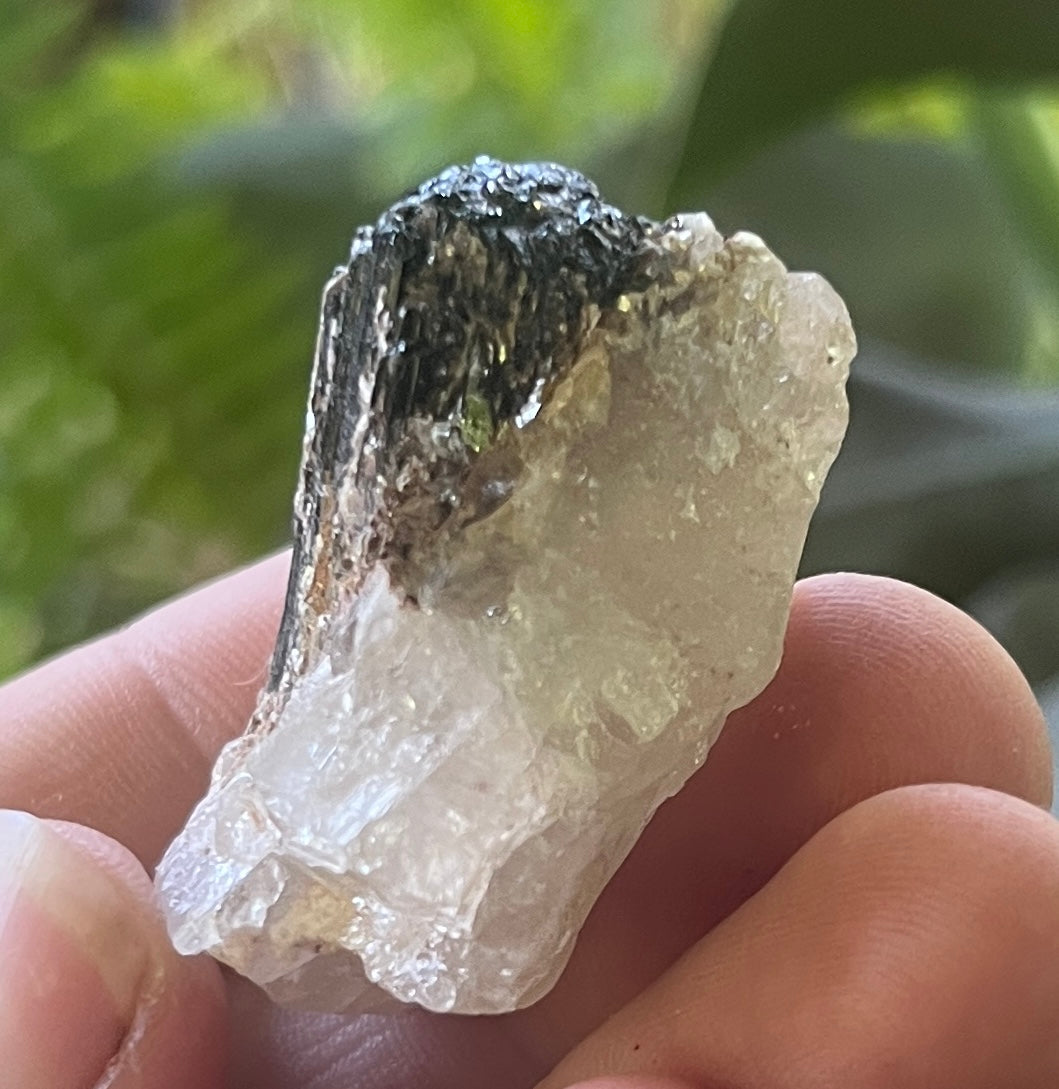 Raw Black Tourmaline in Calcite Specimen - Natural Schorl Crystal Cluster