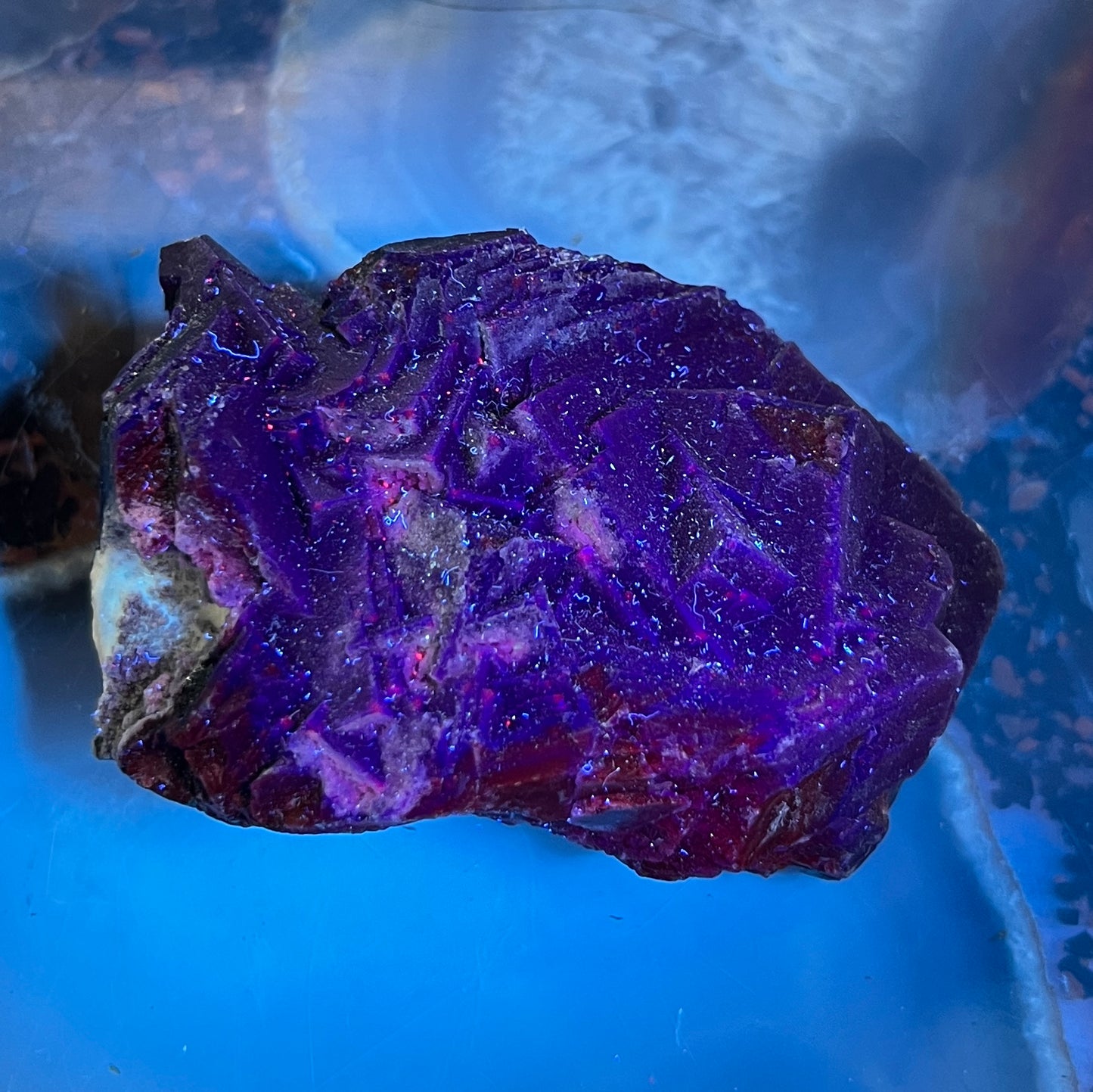 Rare Black Rose Fluorite Specimen – UV Reactive "Glow" Crystal – Natural Raw Fluorite