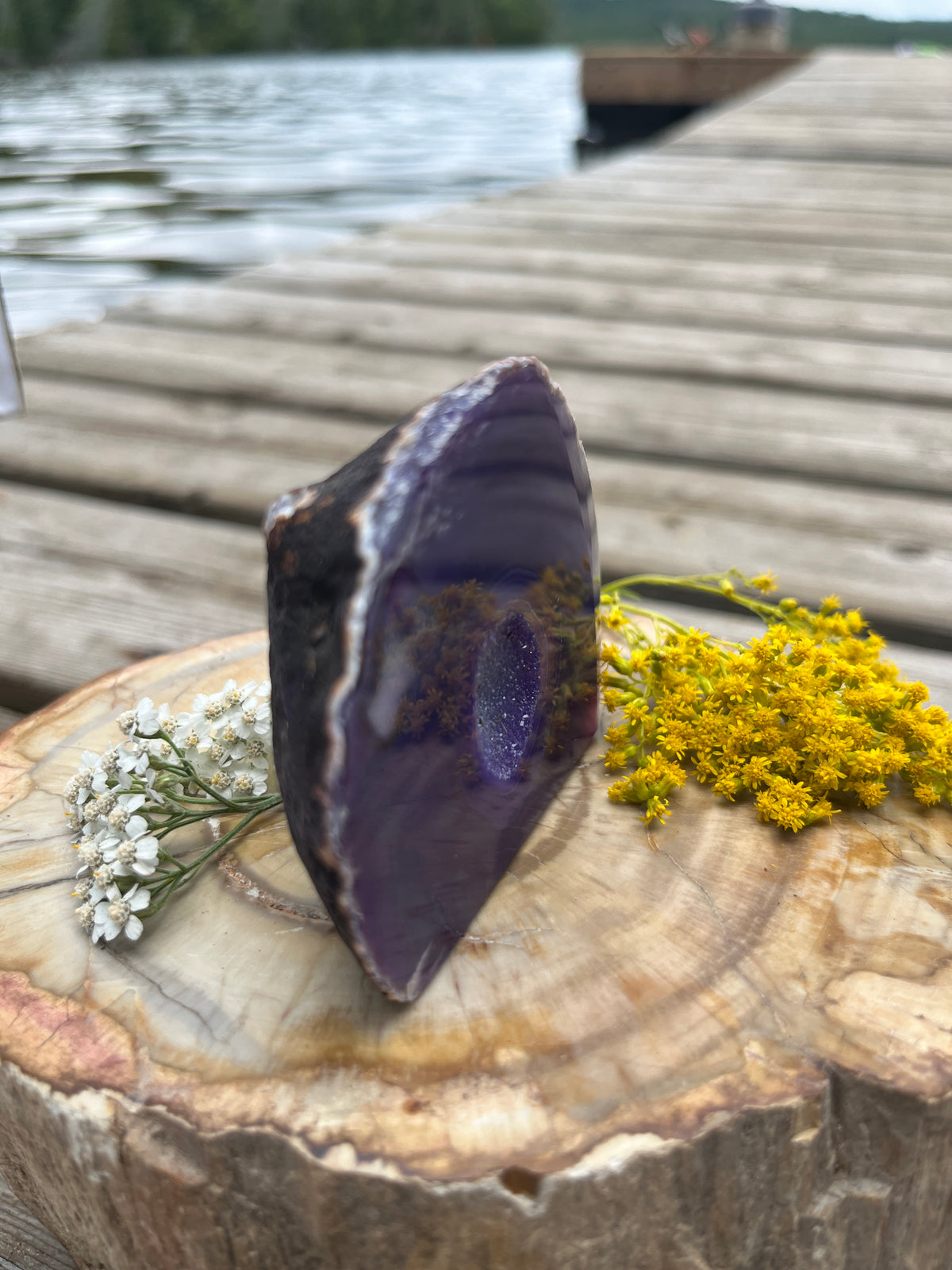 Purple Agate Geode with Cut Base - Vibrant Amethyst-Tone Banded Agate