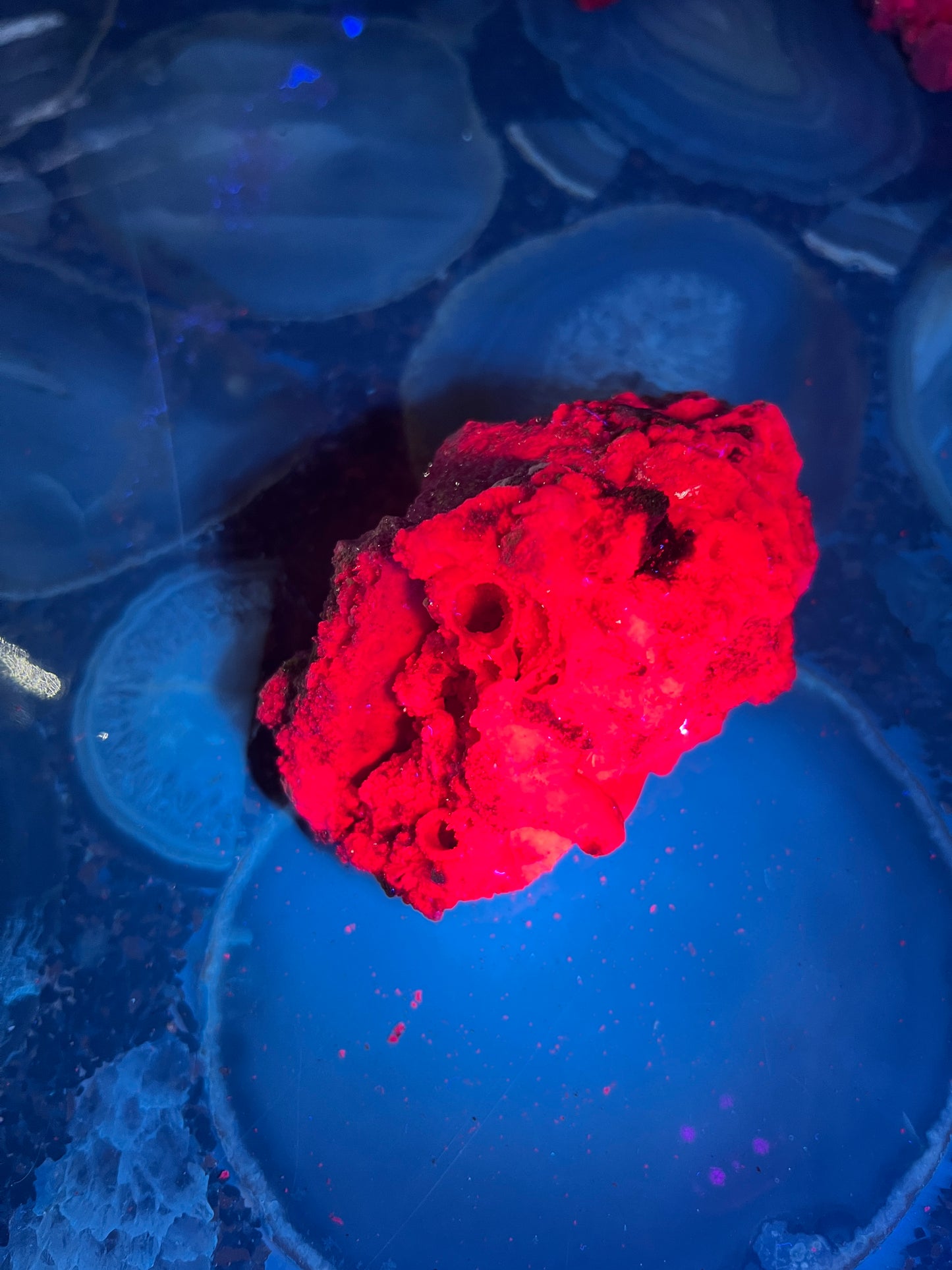 Fluorescent Honeycomb Ruby Specimen - UV Reactive Corundum - Raw Magenta Ruby Crystal - Rare Mineral Decor -