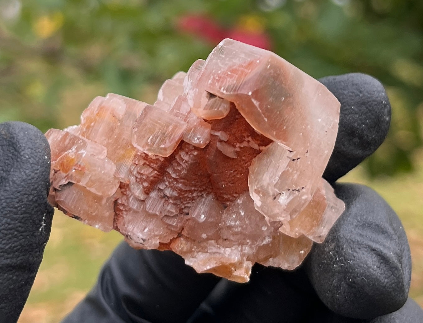 Red Phantom Calcite Cluster | Rare Natural Crystal | Healing Stone for Energy & Motivation