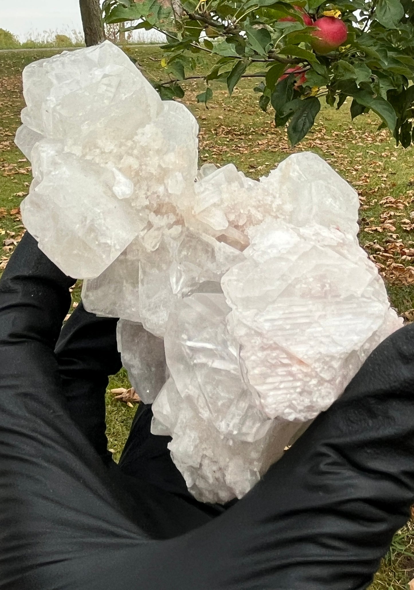 Natural Apophyllite Stilbite Crystal Cluster – High Vibration Druzy Specimen for Healing, Clarity & Spiritual Growth