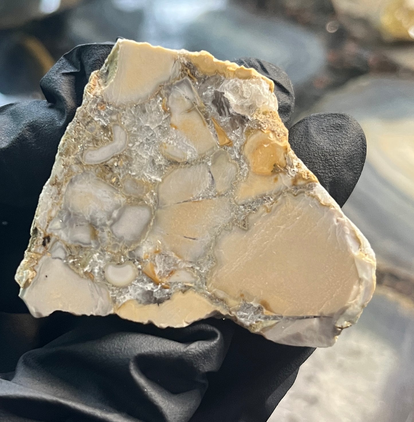 Rare Cobra Jasper Slab | Polishing Rough | Orbicular Stone | Lapidary Raw