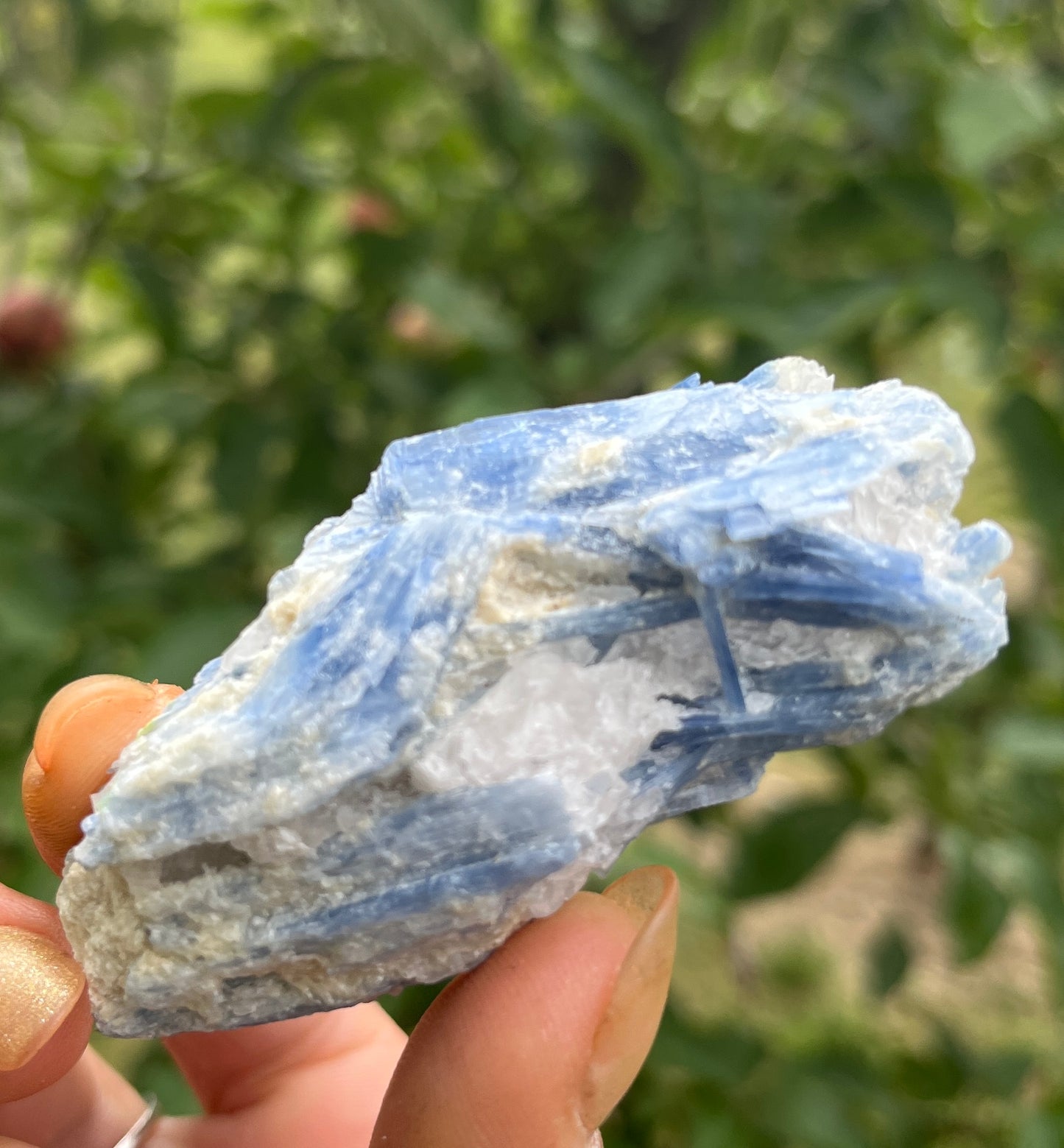 Blue Kyanite - Powerful Crystal Known for its Numerous Healing Properties