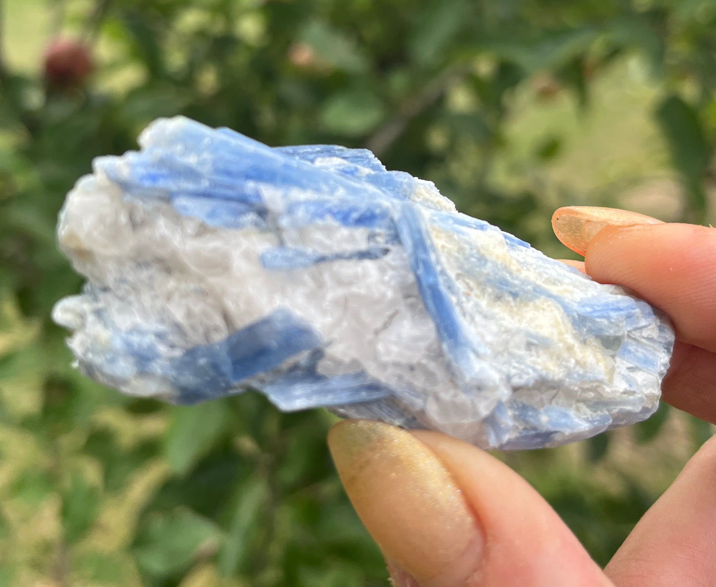 Blue Kyanite - Powerful Crystal Known for its Numerous Healing Properties