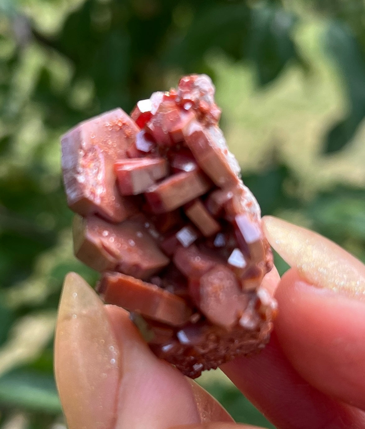 Vanadinite Crystal Cluster - Powerful Grounding & Physical Energy.