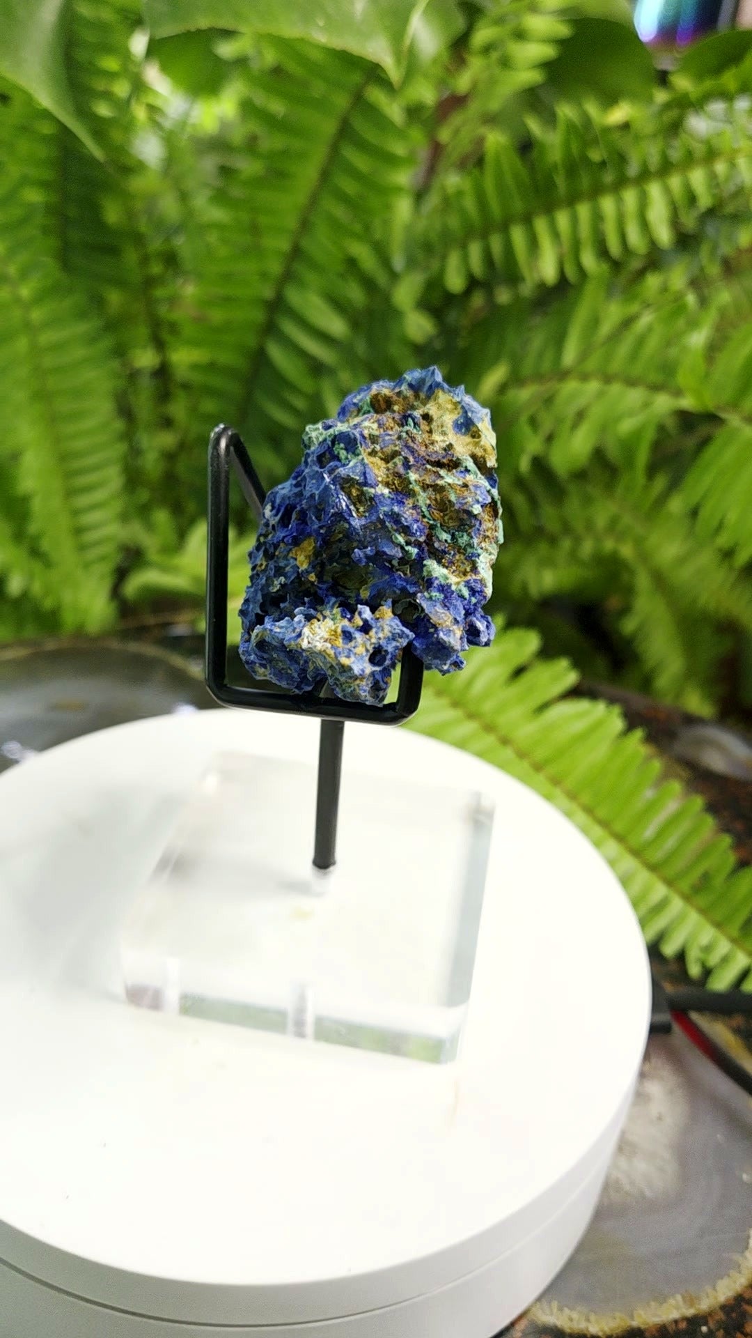 Azurite Crystal Cluster with Chrysocolla - angle 6