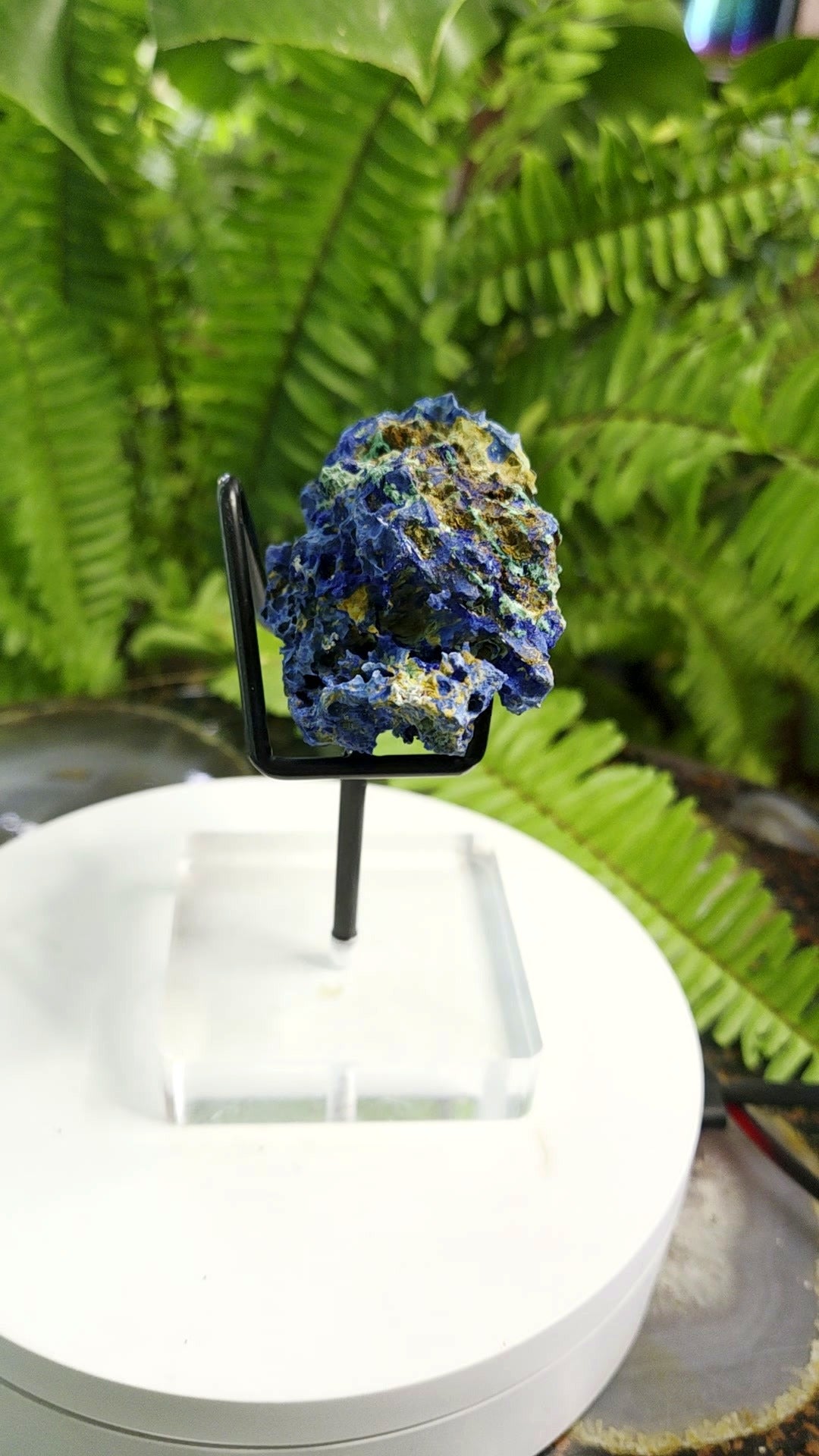Azurite Crystal Cluster with Chrysocolla - angle 7