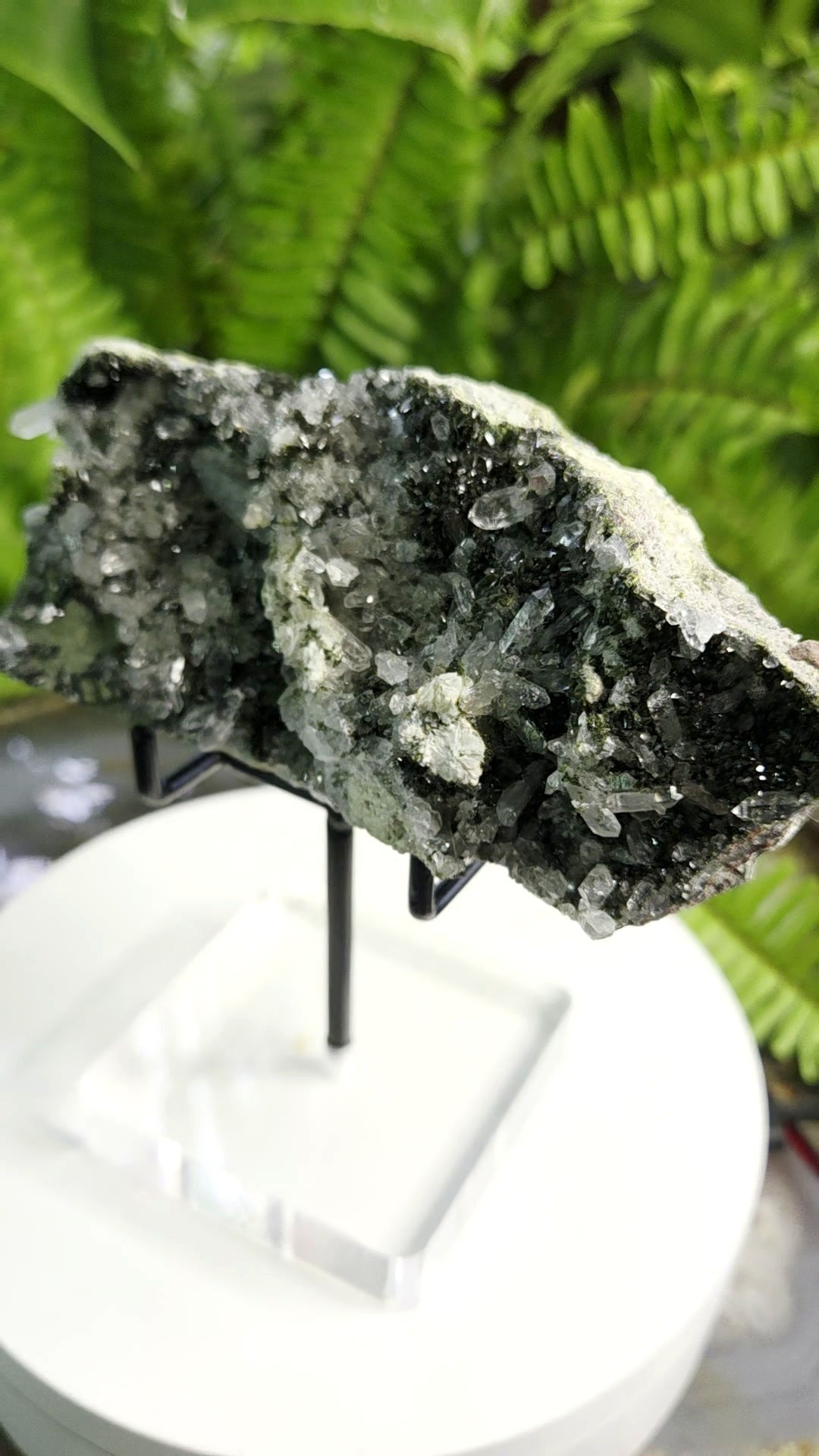 Black Epidote with Crystal Clear Quartz Cluster | Mineral Specimen