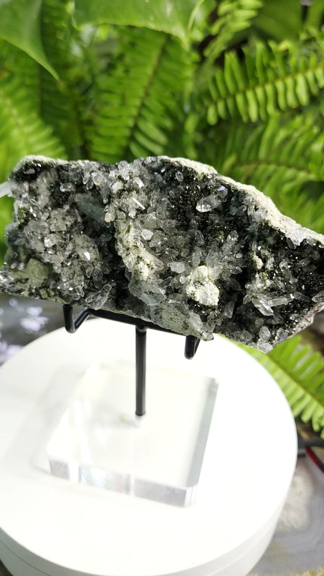 Black Epidote with Crystal Clear Quartz Cluster | Mineral Specimen