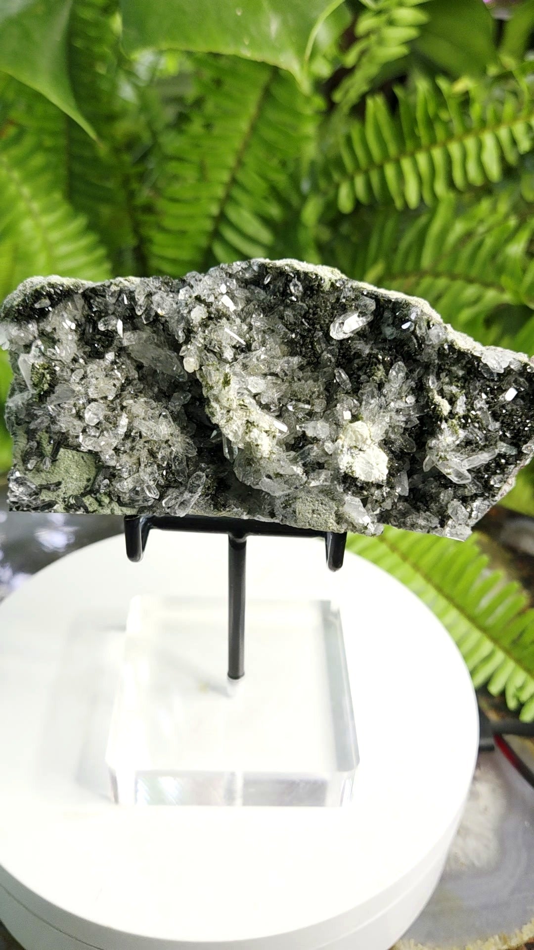 Black Epidote with Crystal Clear Quartz Cluster | Mineral Specimen