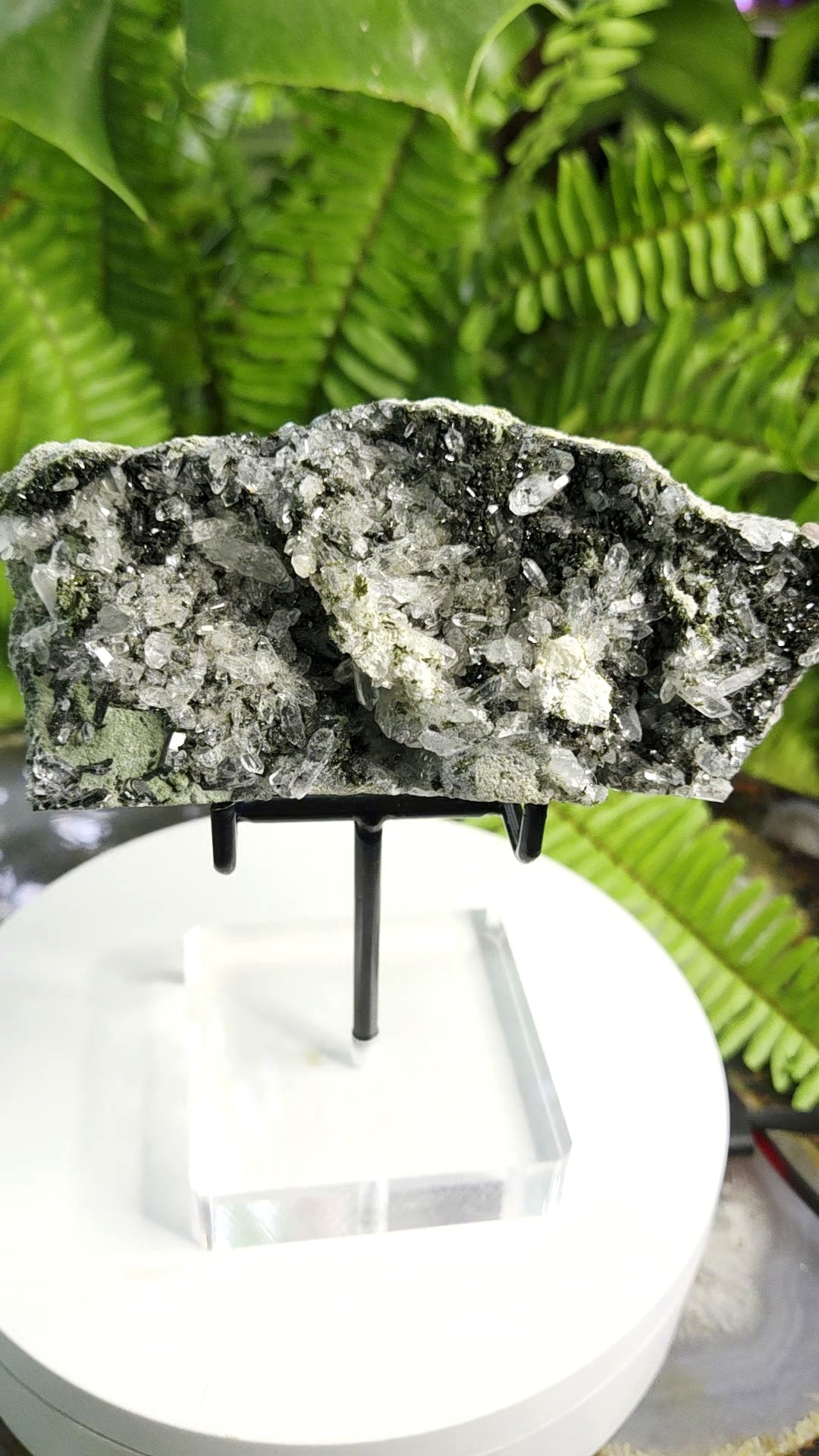 Black Epidote with Crystal Clear Quartz Cluster | Mineral Specimen