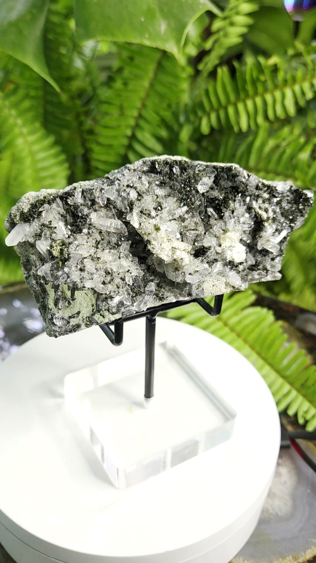 Black Epidote with Crystal Clear Quartz Cluster | Mineral Specimen