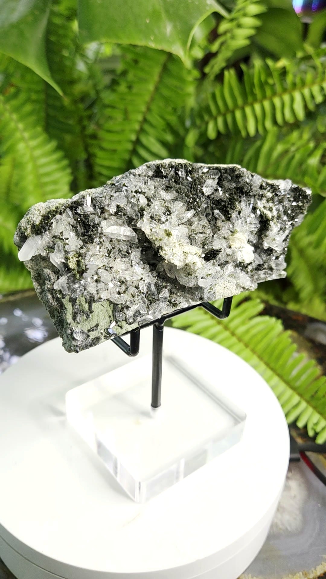 Black Epidote with Crystal Clear Quartz Cluster | Mineral Specimen