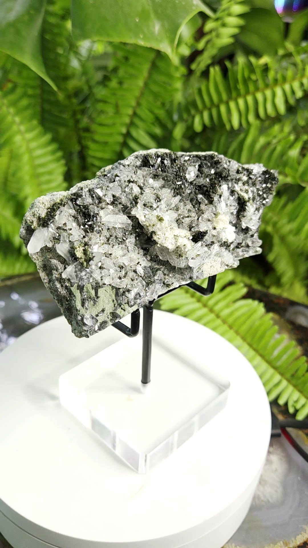 Black Epidote with Crystal Clear Quartz Cluster | Mineral Specimen