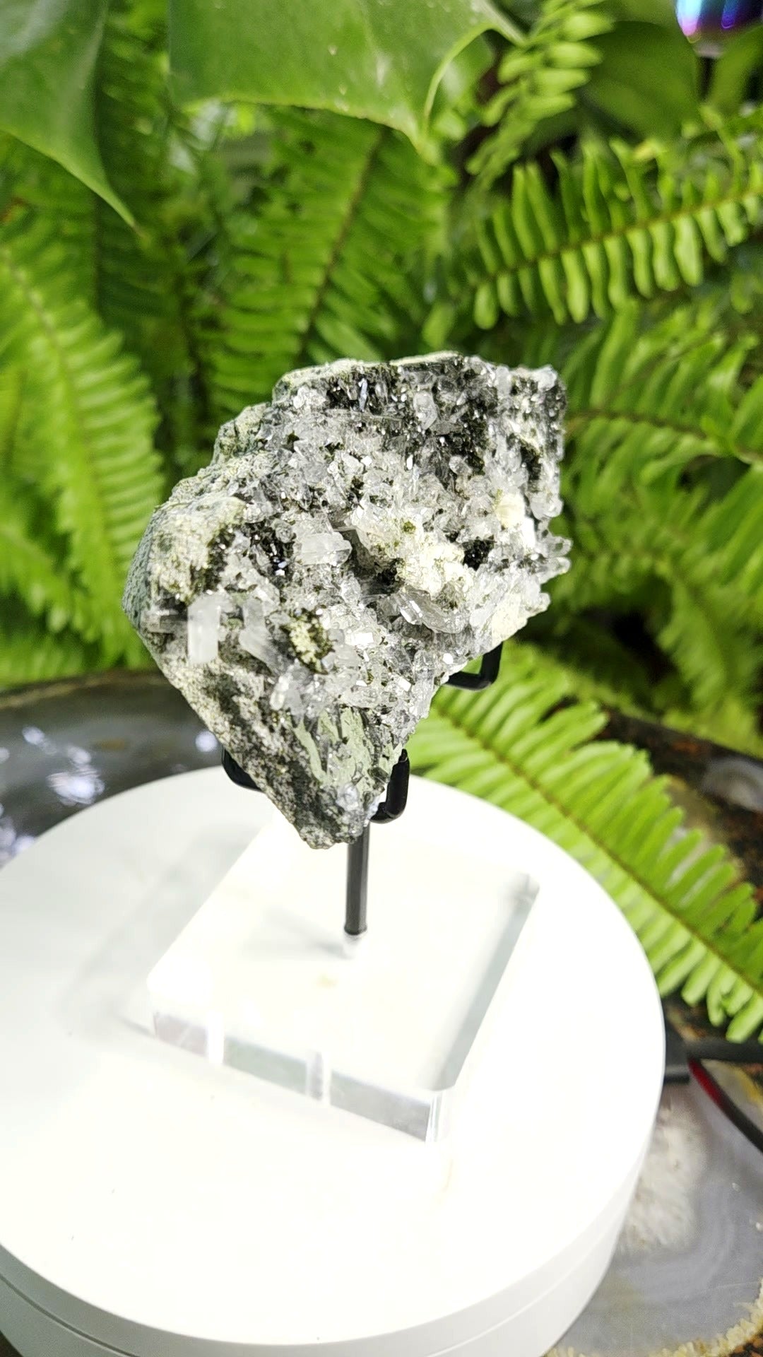 Black Epidote with Crystal Clear Quartz Cluster | Mineral Specimen