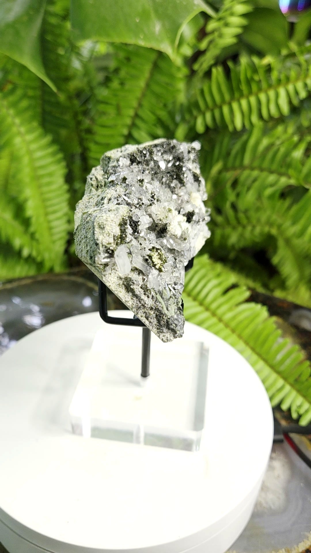 Black Epidote with Crystal Clear Quartz Cluster | Mineral Specimen