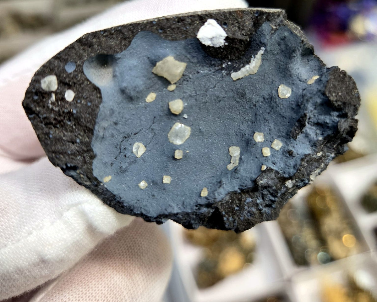 Botanical calcite crystals on blue bentonite matrix, front view