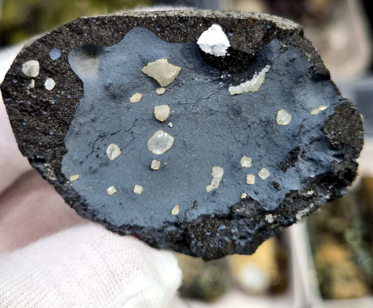 Botanical calcite crystals on blue bentonite matrix, close-up