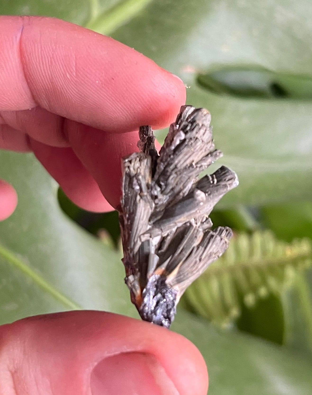 Stibnite With Fluorite Blade | Uv Reactive Crystal Specimen | Fluorescent Mineral