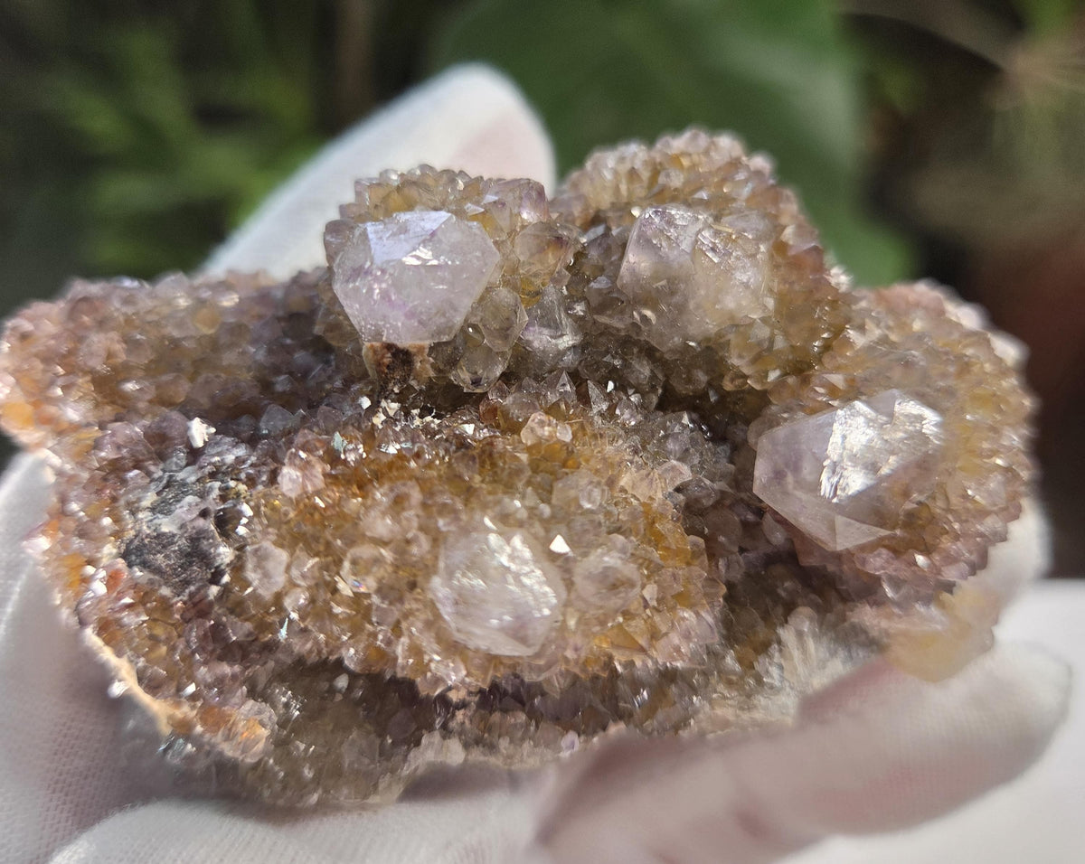 Natural Spirit Quartz Cluster on Matrix – Sparkling Druzy Crystal Points