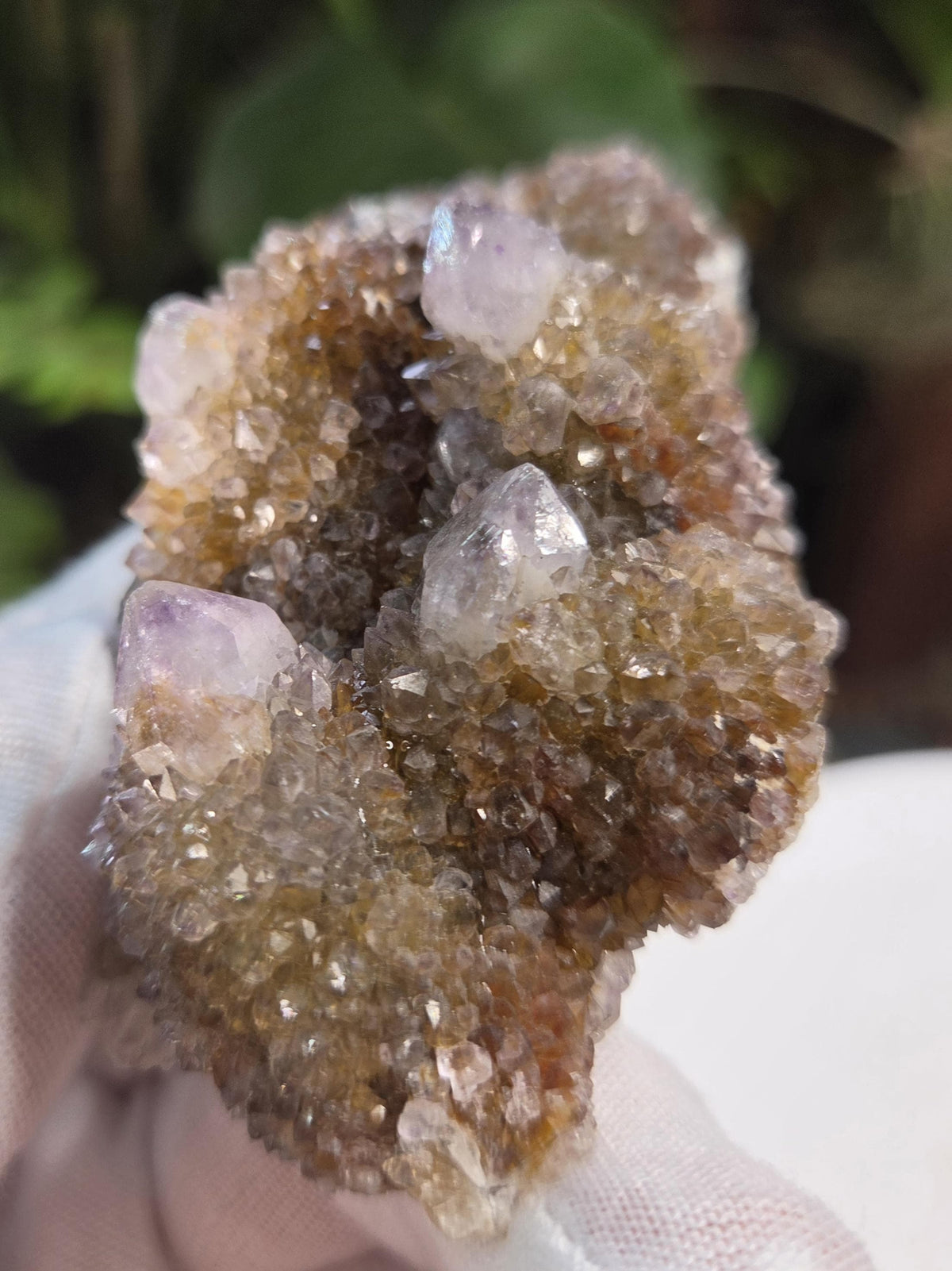 Natural Spirit Quartz Cluster on Matrix – Sparkling Druzy Crystal Points
