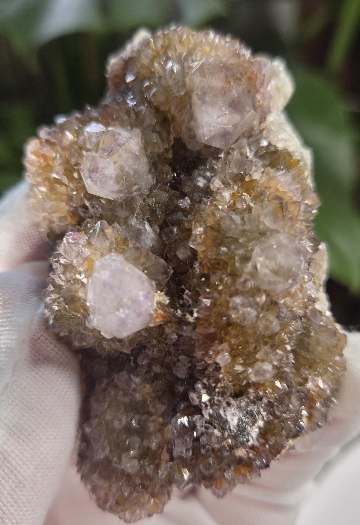 Natural Spirit Quartz Cluster on Matrix – Sparkling Druzy Crystal Points