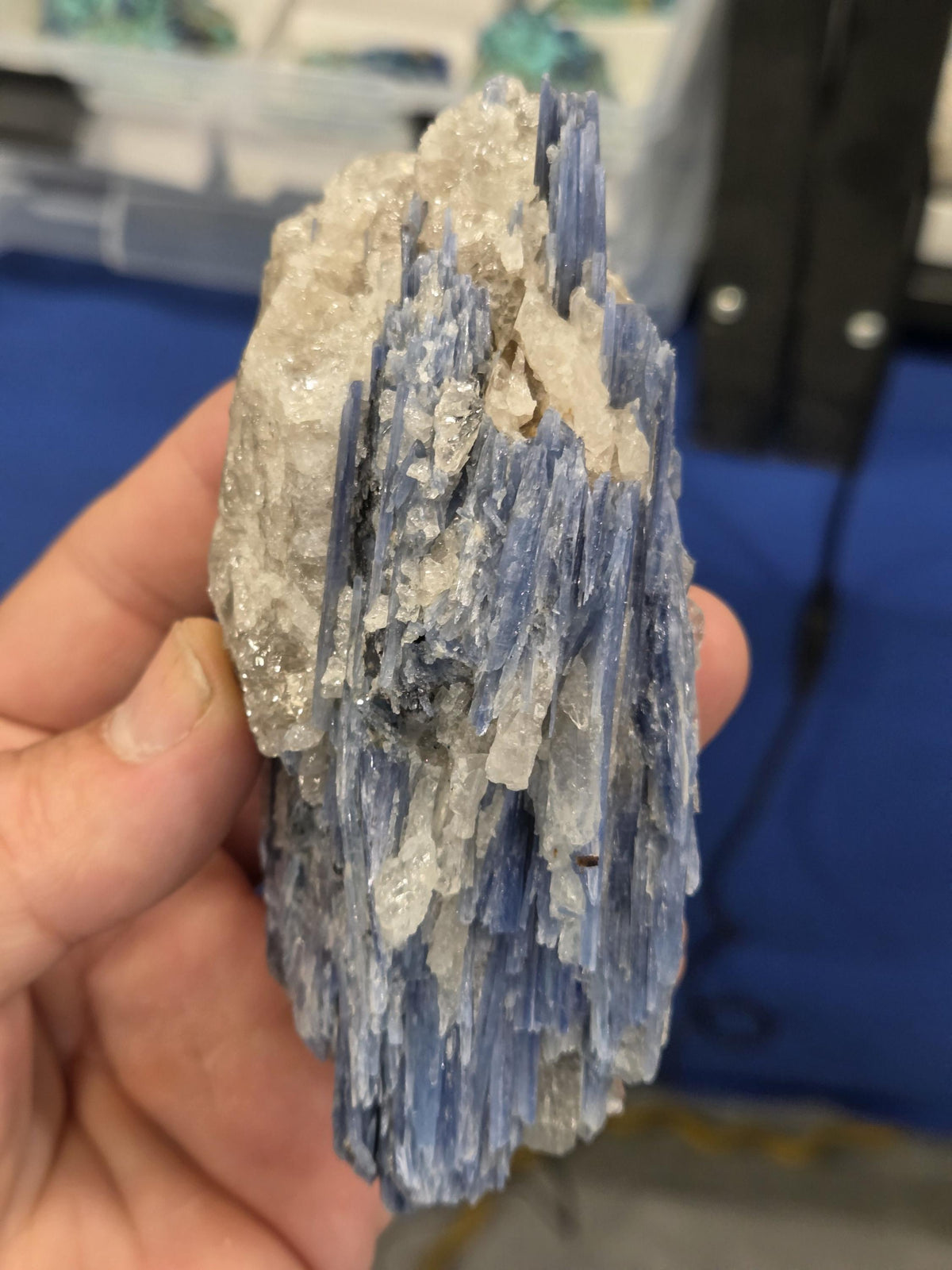 High-Grade Blue Kyanite with Quartz Cluster | Raw Crystal Specimen for Alignment