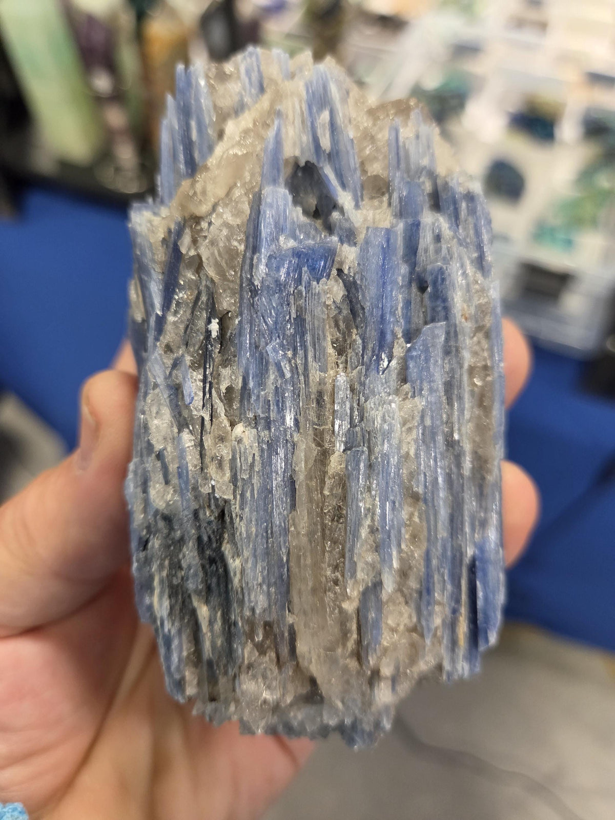 High-Grade Blue Kyanite with Quartz Cluster | Raw Crystal Specimen for Alignment