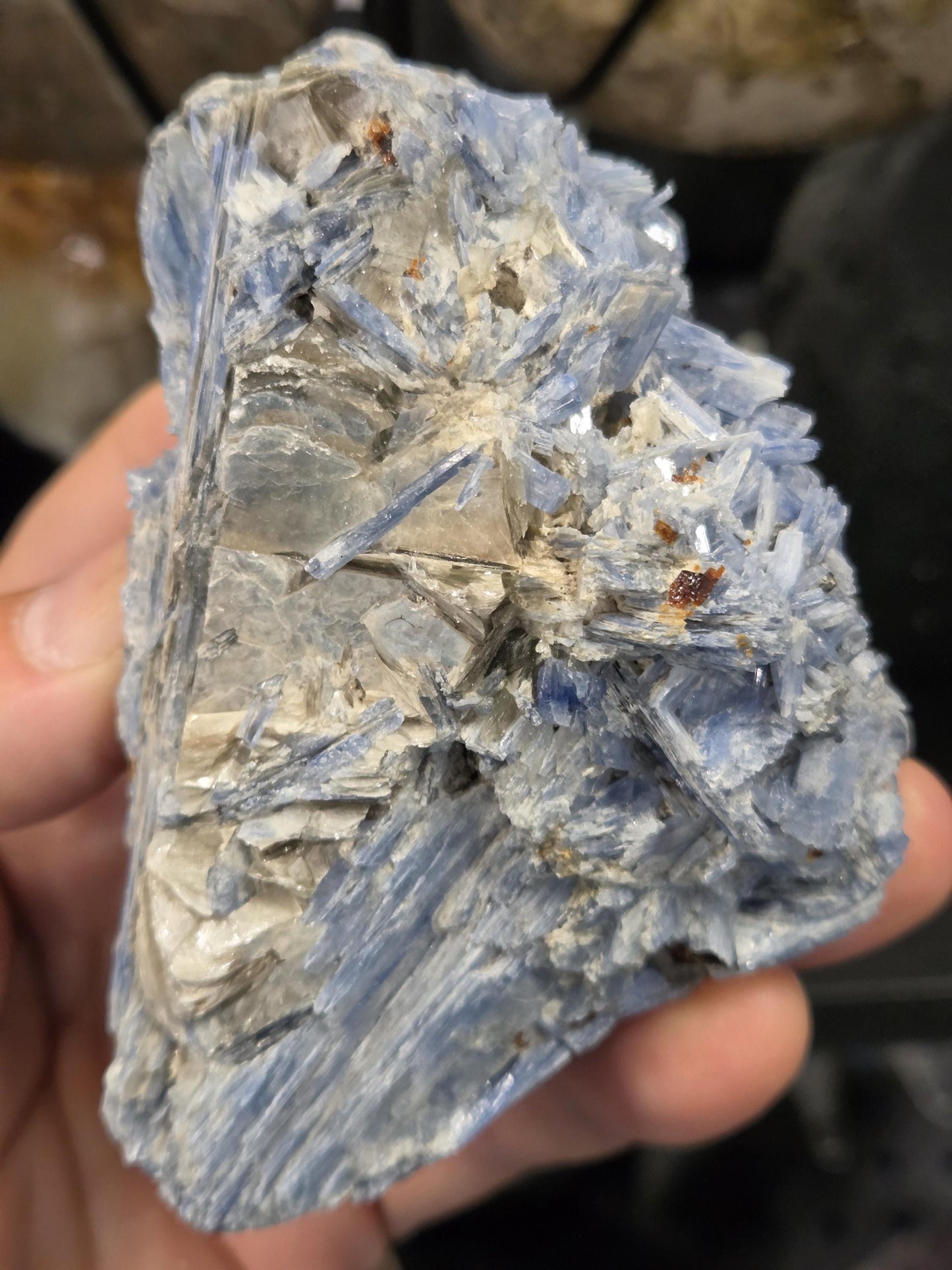 Rare Blue Kyanite with Garnet and Mica and Quartz Cluster