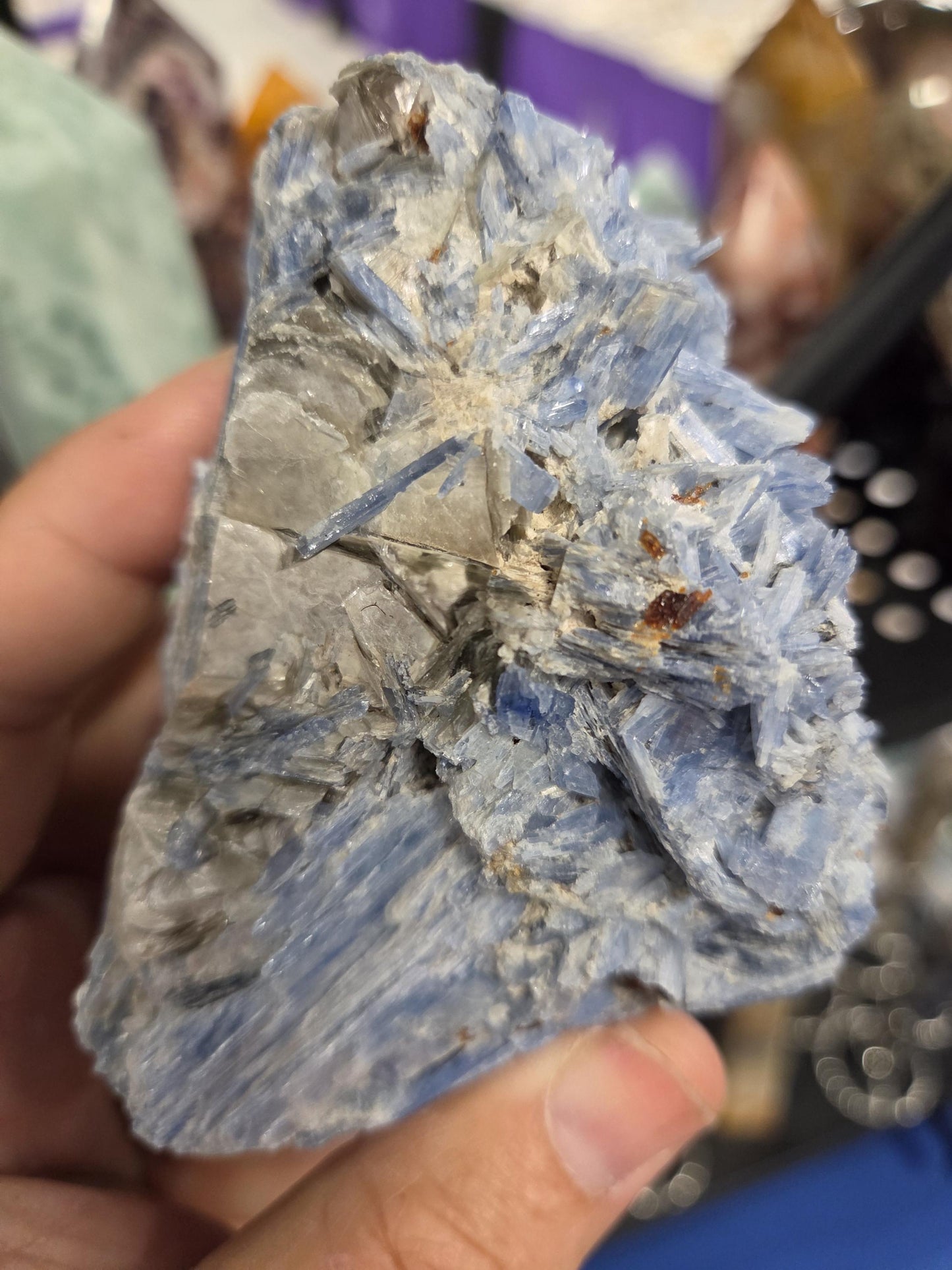 Rare Blue Kyanite with Garnet and Mica and Quartz Cluster