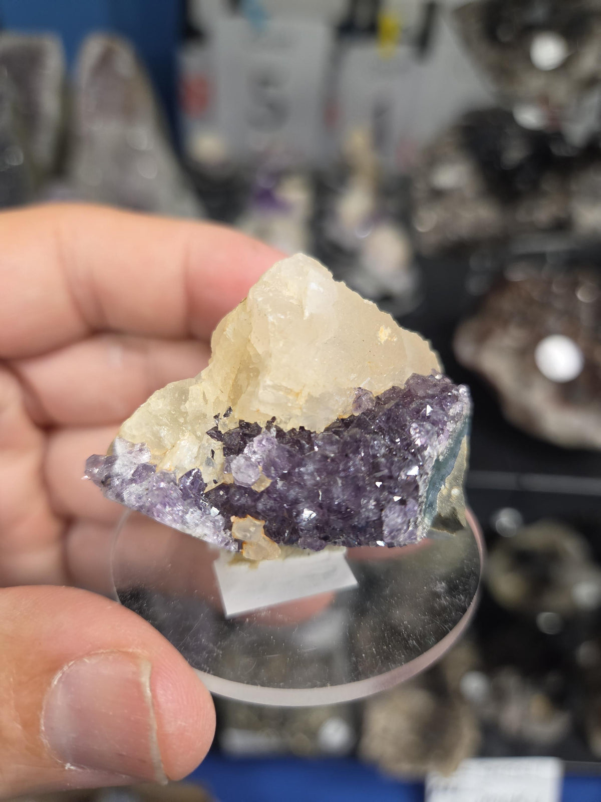Stunning Dark Purple Brazil Amethyst with Large Calcite Crystal