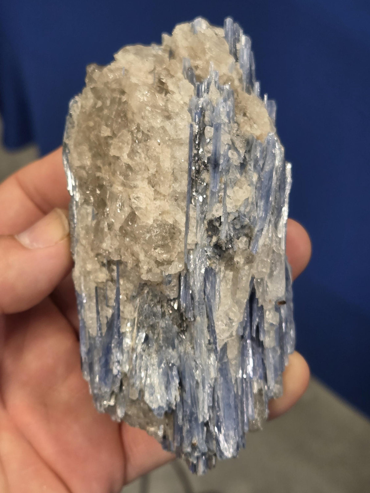 High-Grade Blue Kyanite with Quartz Cluster | Raw Crystal Specimen for Alignment