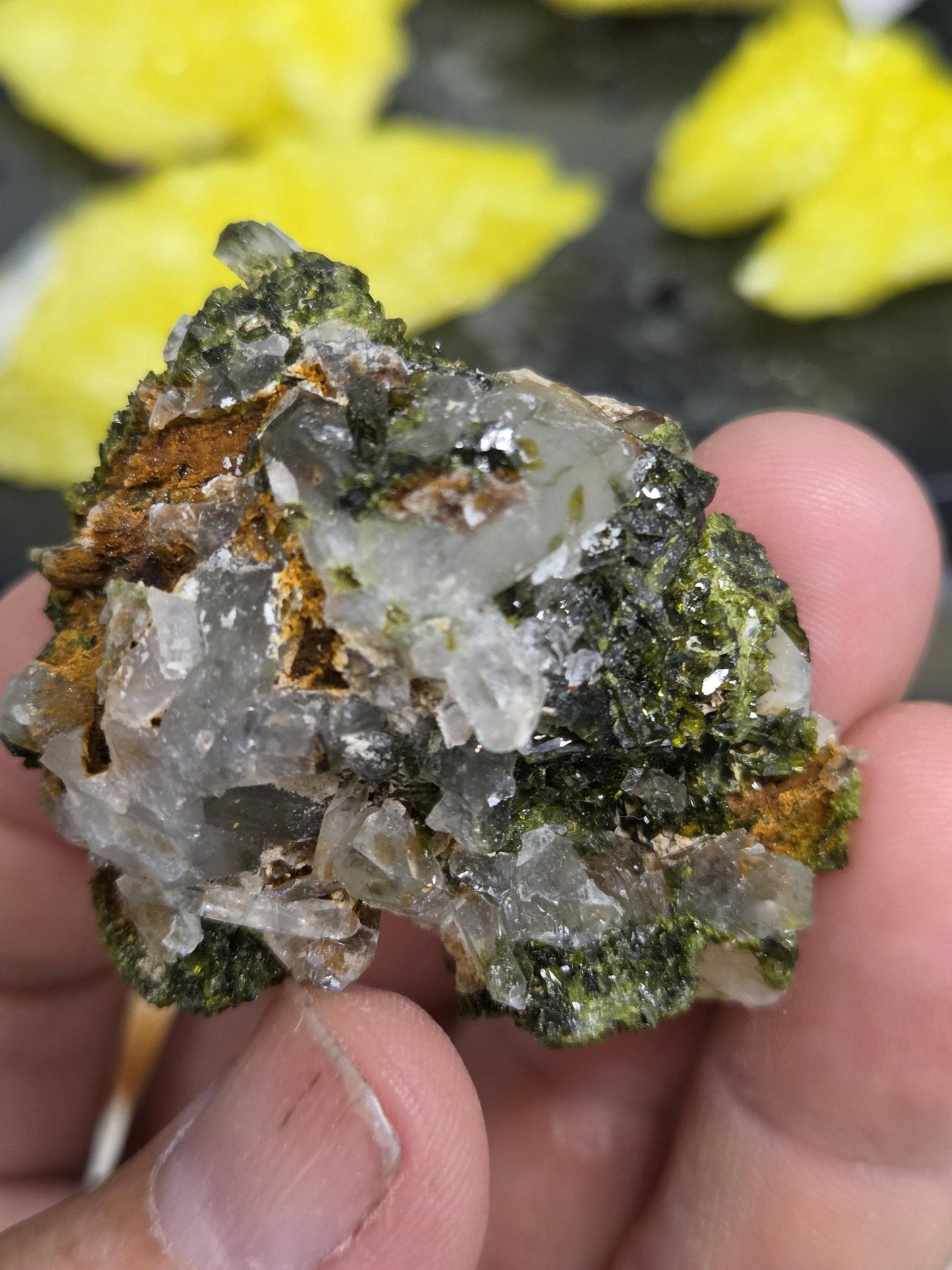 Rare Forest Epidote with Druzy Quartz – Sparkling Green Growth Crystal