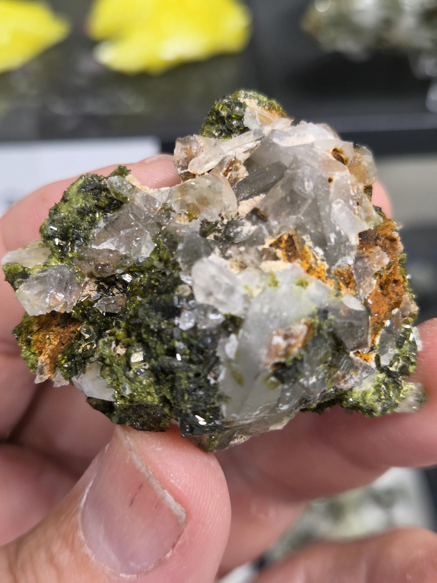 Rare Forest Epidote with Druzy Quartz – Sparkling Green Growth Crystal