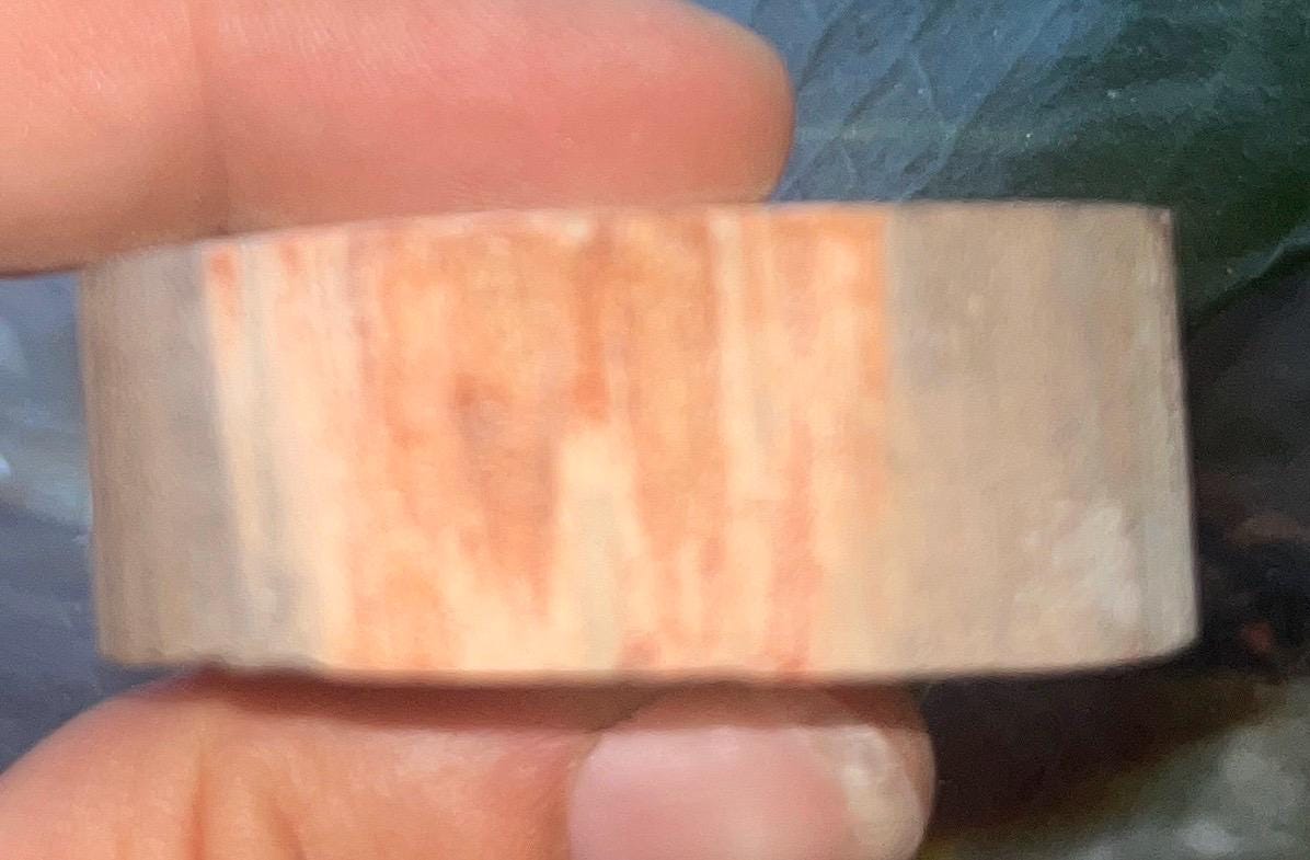 Polished Petrified Wood Slice, Fossilized Wood Slab, Natural Crystal Decor