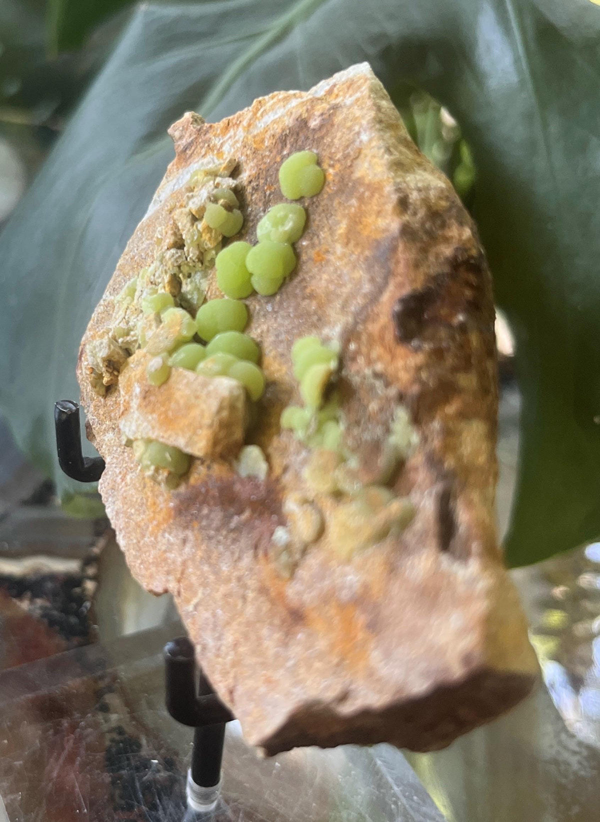 Botryoidal Pyromorphite Specimen, Vibrant Green Pyromorphite on Matrix